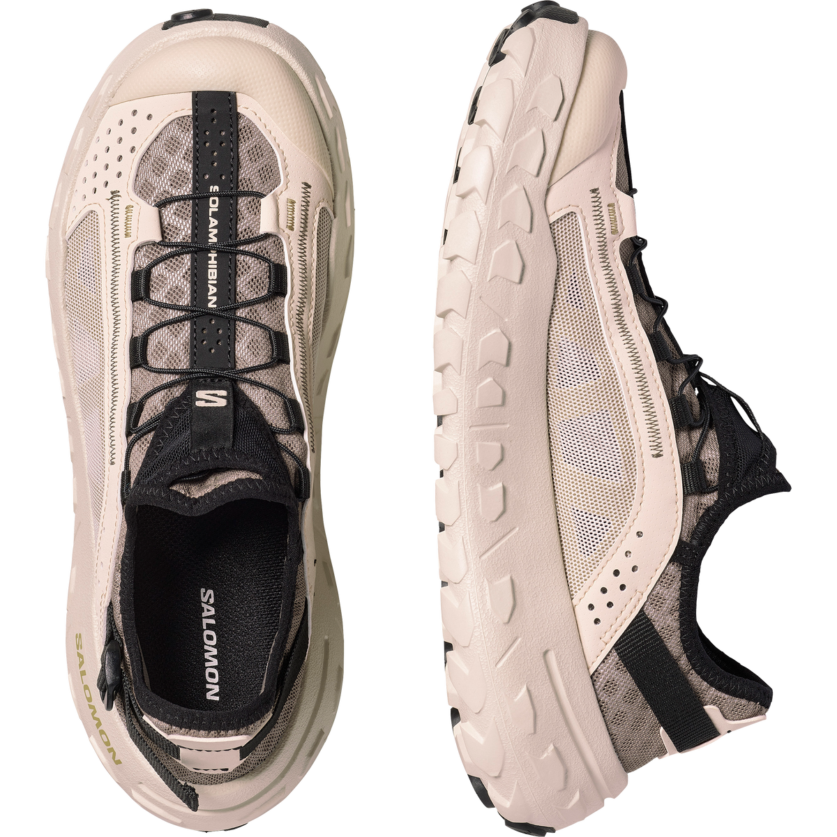 SOLAMPHIBIAN