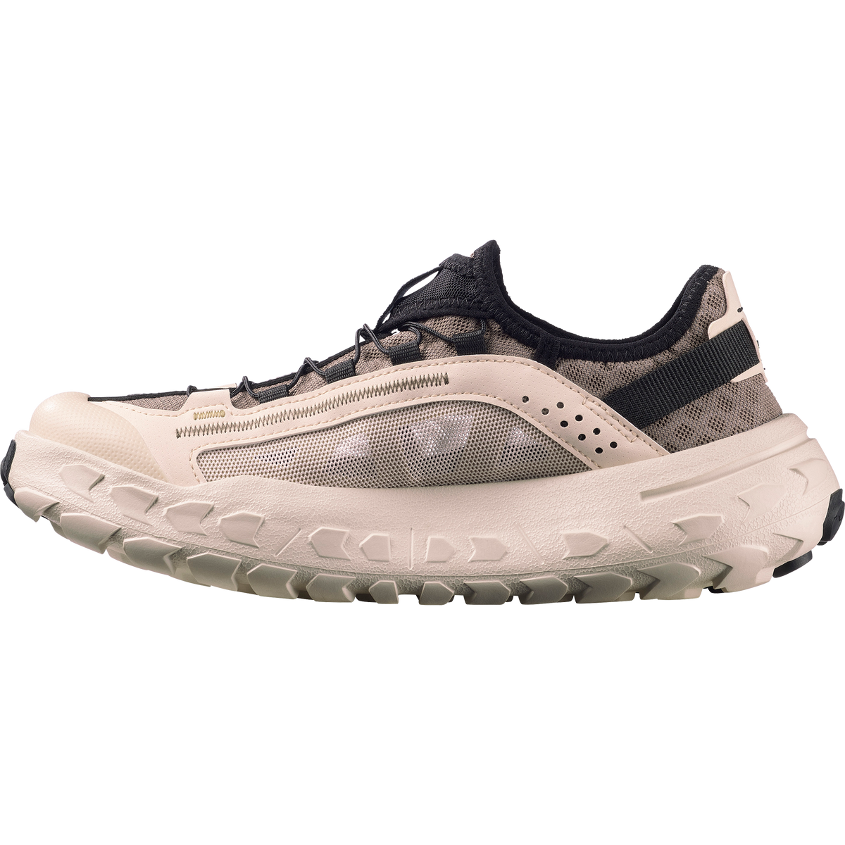SOLAMPHIBIAN