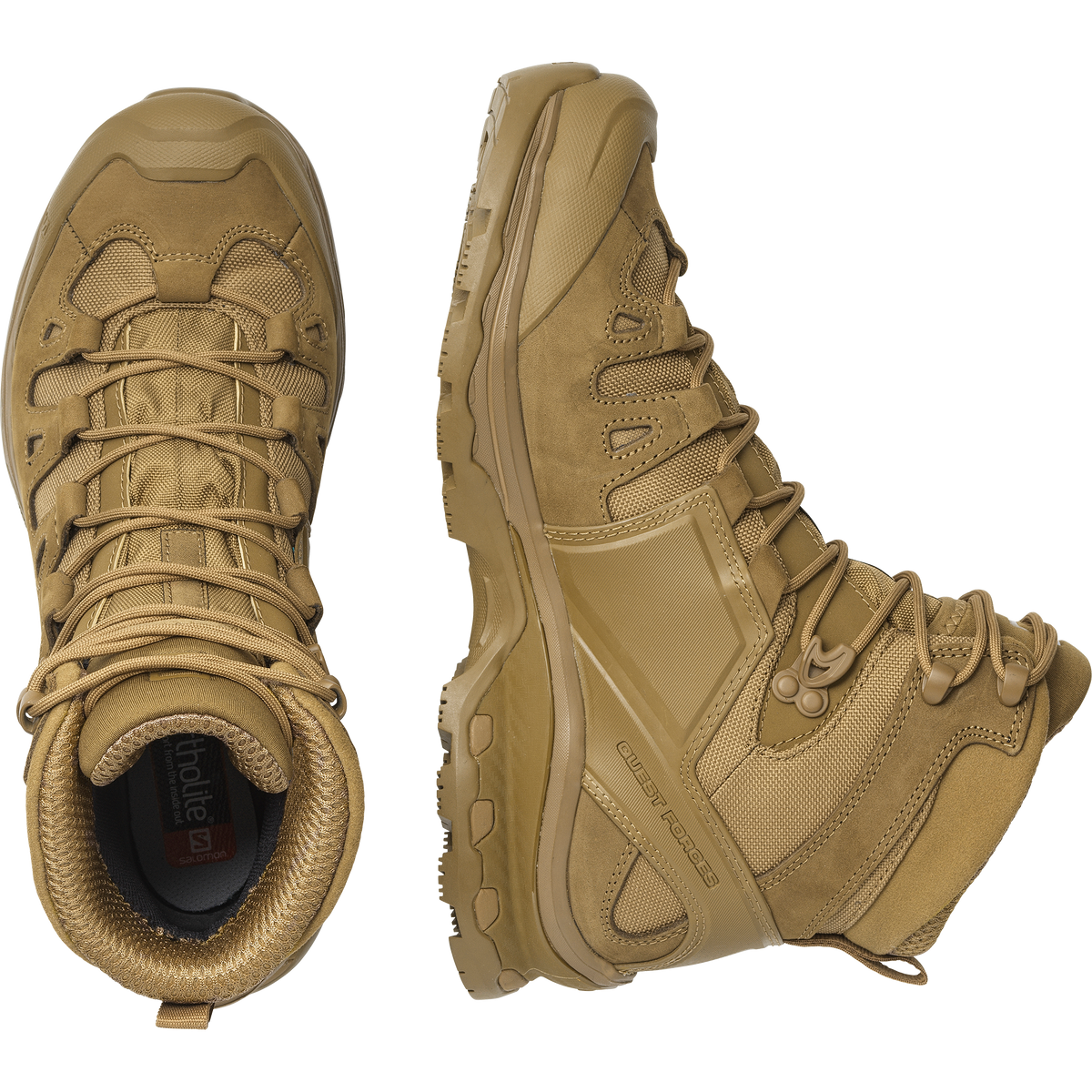 QUEST 4D FORCES 2