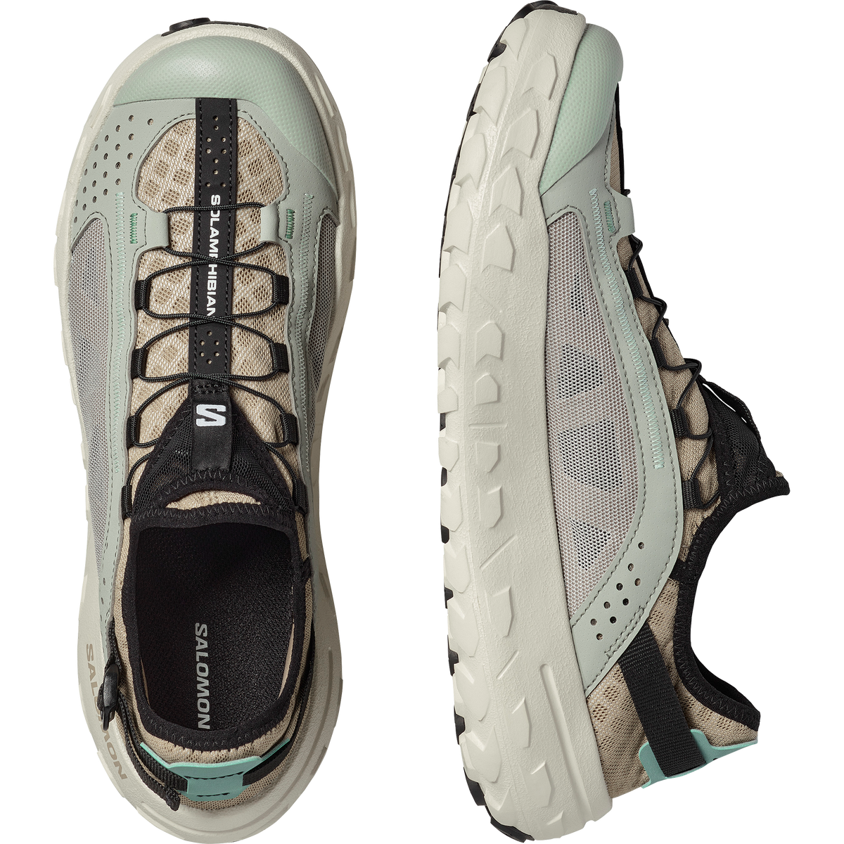 SOLAMPHIBIAN