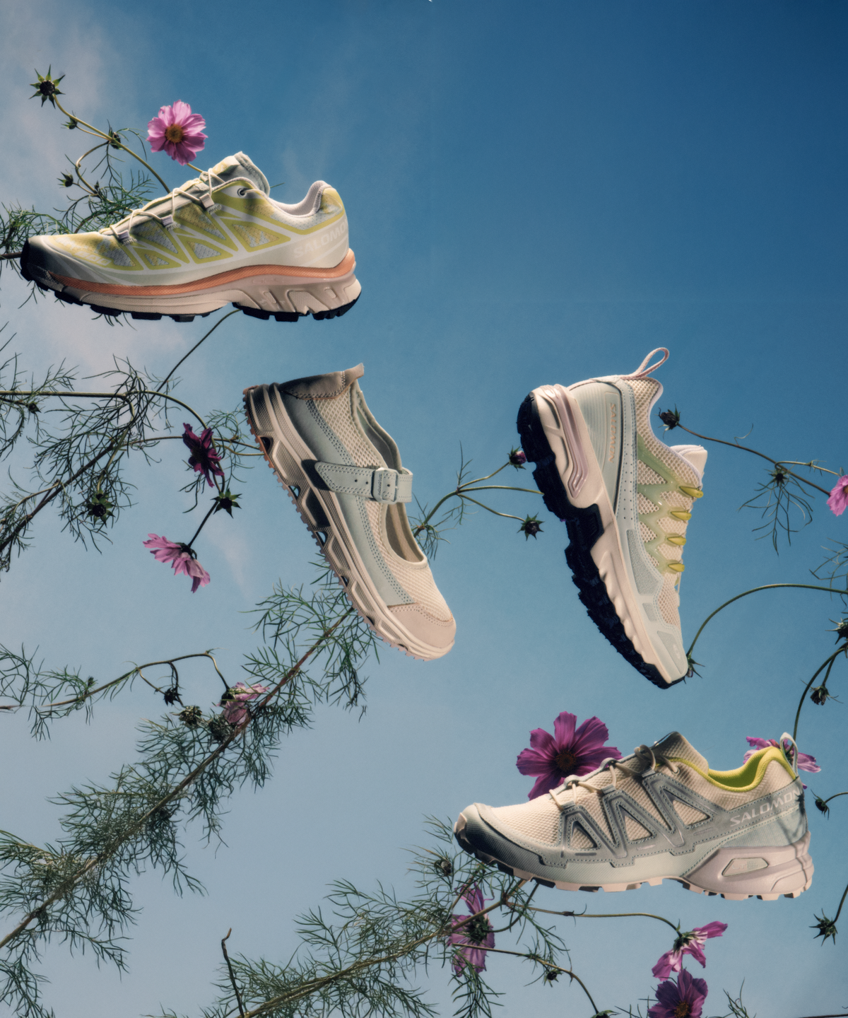 ALPEN BLOSSOM
