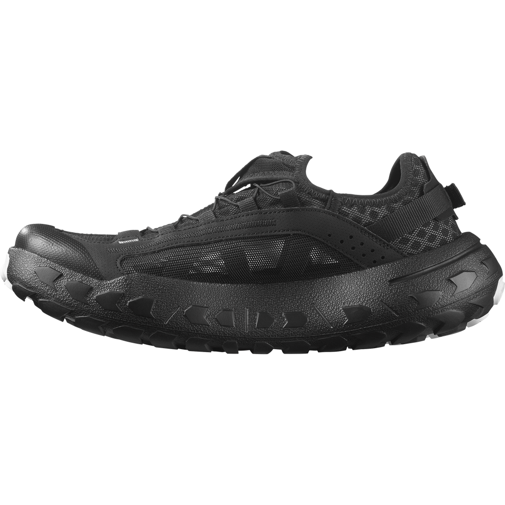 SOLAMPHIBIAN
