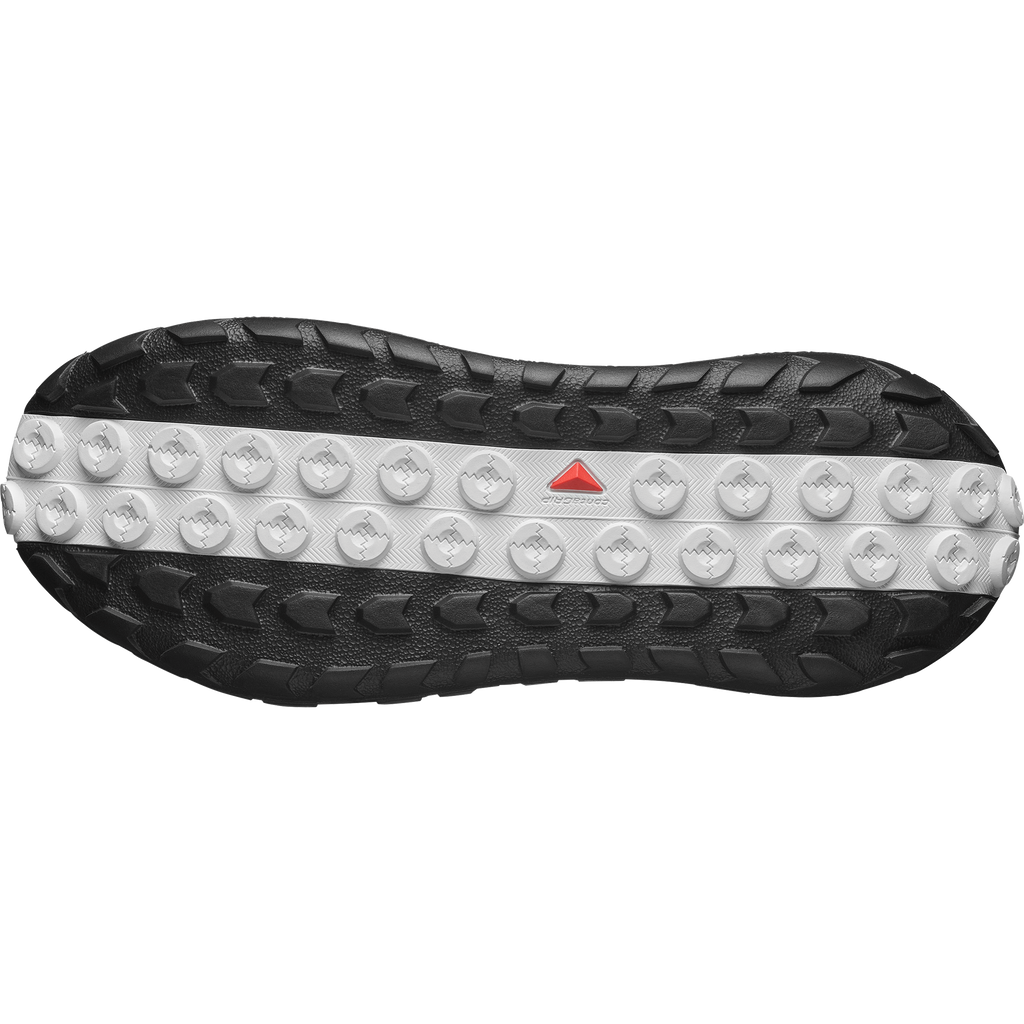 SOLAMPHIBIAN