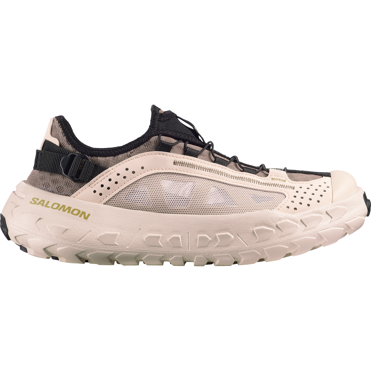 SOLAMPHIBIAN