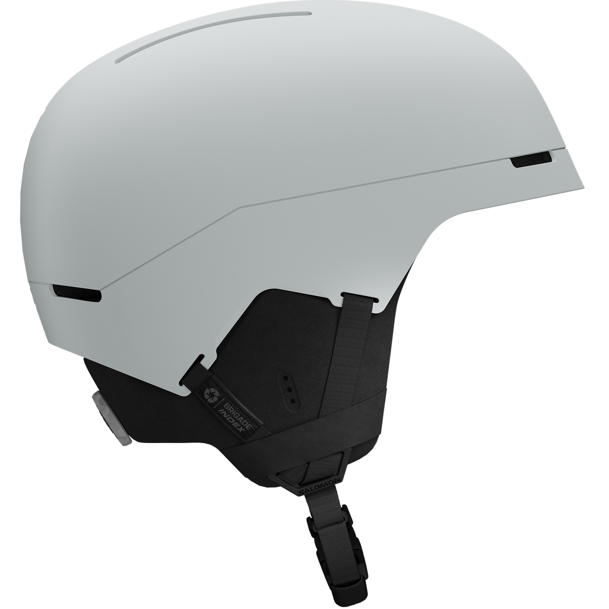 BRIGADE INDEX MIPS