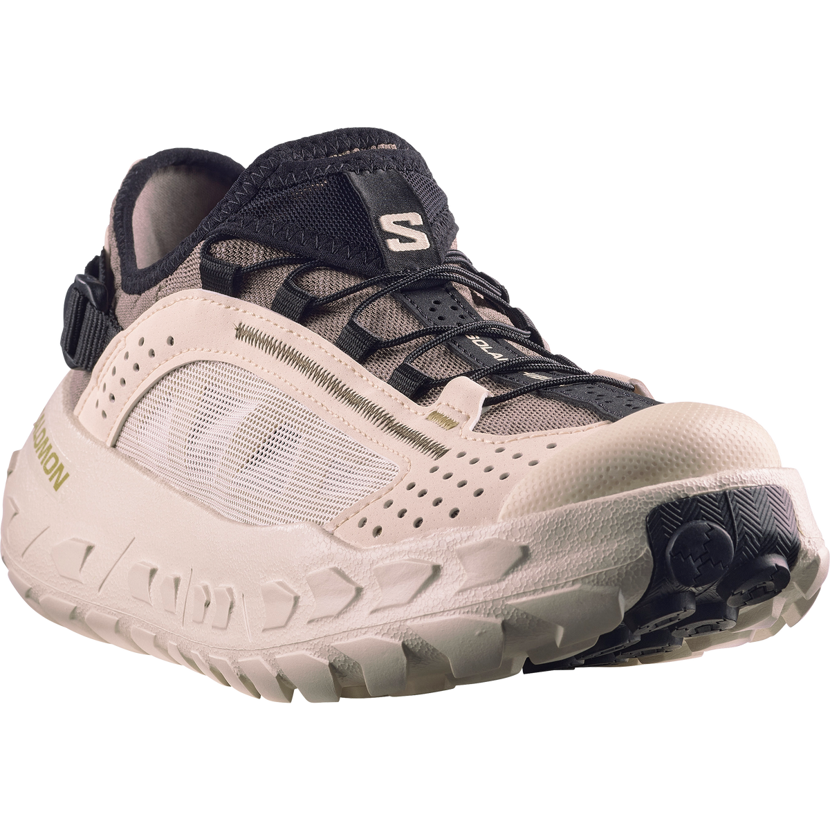 SOLAMPHIBIAN